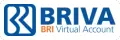 BRIVA